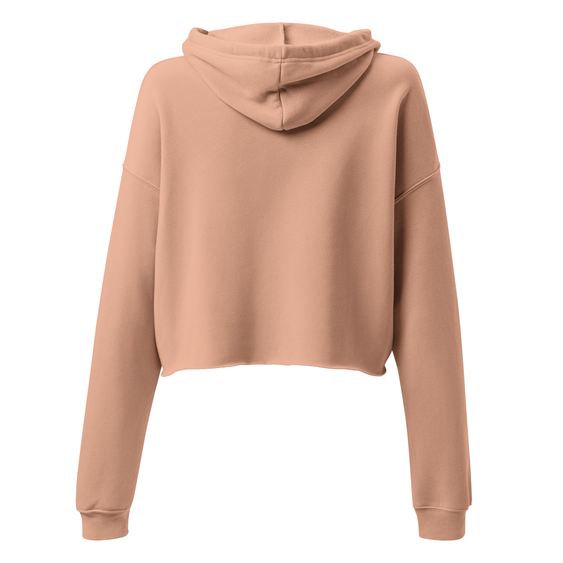 Retro Cropped Hoodie - Vintage Camera and Butterflies Ghost Back